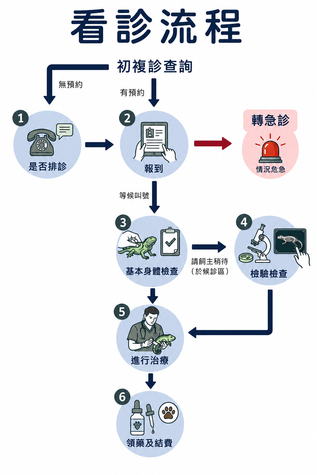 竹北特寵醫院看診流程細節