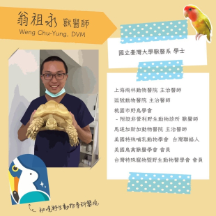 翁祖永 獸醫師