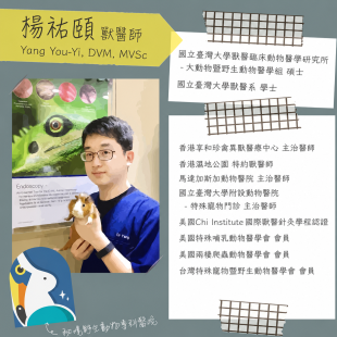 楊祐頤 獸醫師