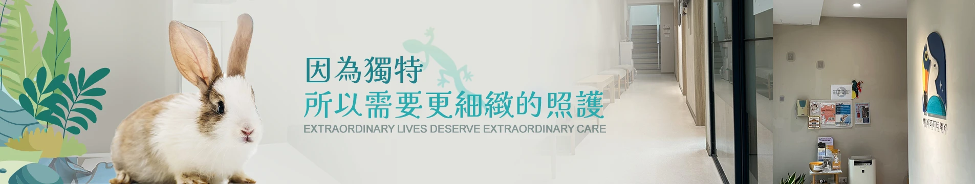 banner-about.webp